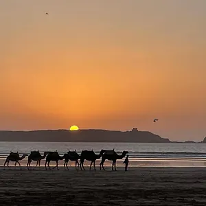 Séjour chez l'habitant La Symbiose Essaouira