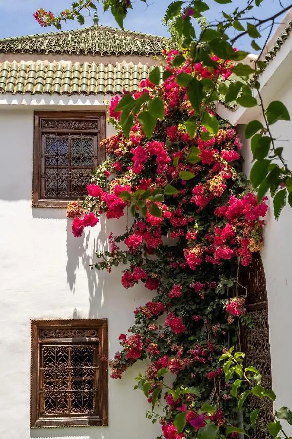 Riad Alma Marrakesz