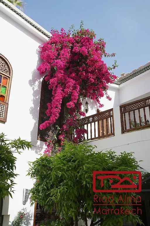 Riad Alma Marrakesh